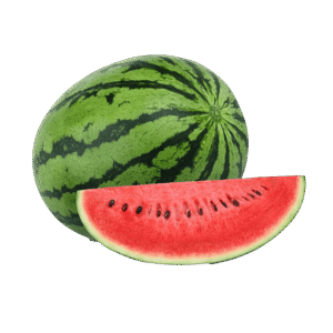 Watermelon Plant